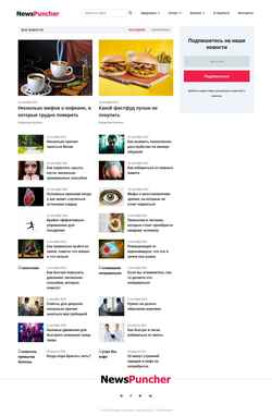 Screenshot newspuncher.com