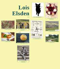 Zrzut ekranu loiselsden.com
