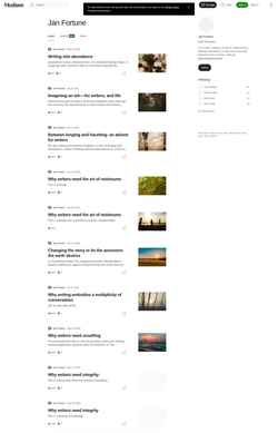 Ekran görüntüsü janfortune.medium.com