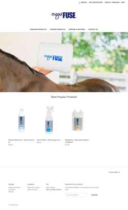 Screenshot equifuse.com