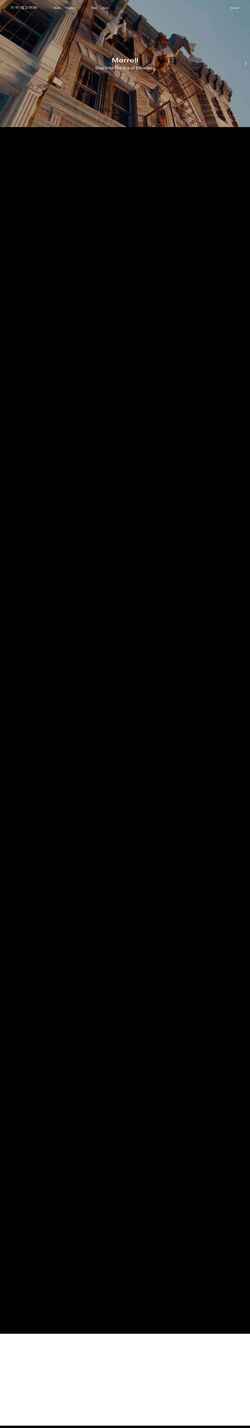 Screenshot mssngpeces.com