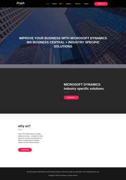Screenshot pyasolutions.com