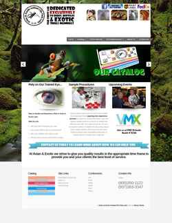 Screenshot www.avianexoticlab.com