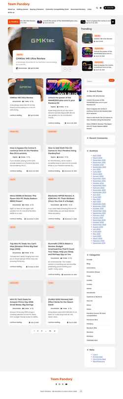Screenshot teampandory.com