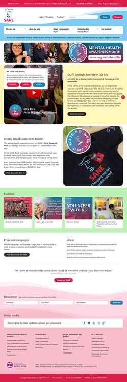 Screenshot www.sane.org.uk