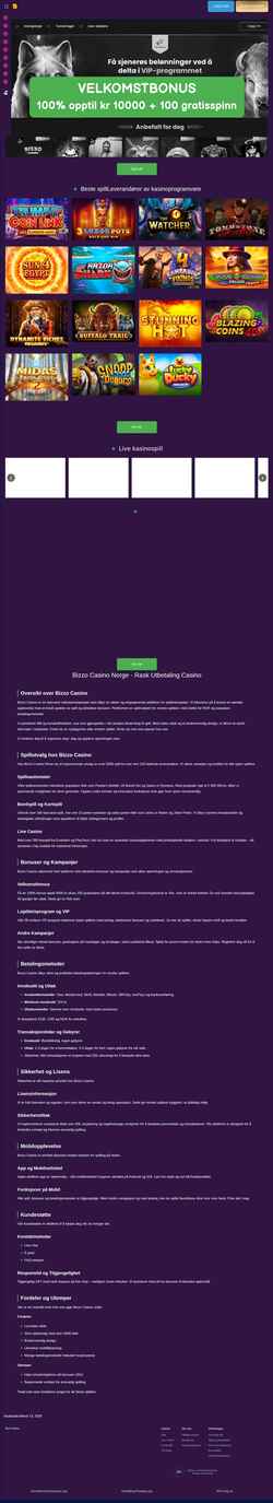 Screenshot bizzo-no.com