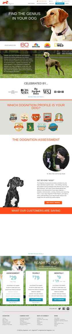 Screenshot www.dognition.com