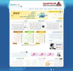 Screenshot www.ecdscs.com
