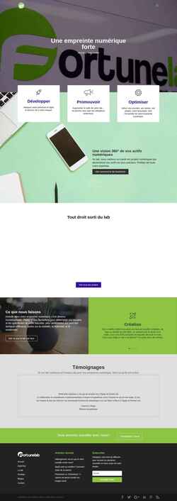Screenshot fortunelab.net