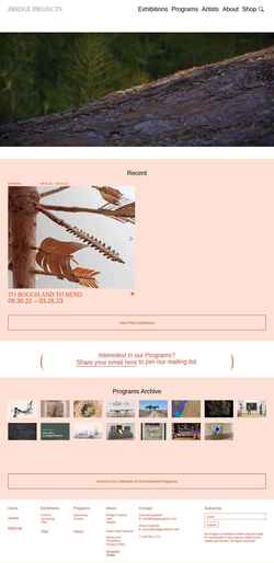 Screenshot www.bridgeprojects.com