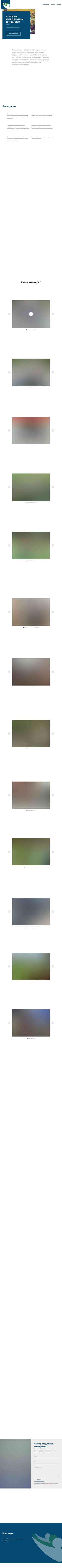 Screenshot npami.ru