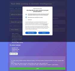 Screenshot dns.ninja