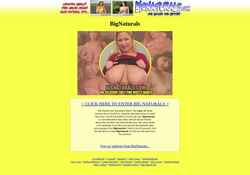 Snimka zaslona bignaturals5.com