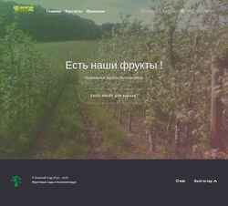 Screenshot bogsad.ru