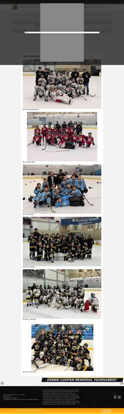 Screenshot jdfminorhockey.com