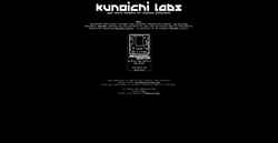 Screenshot kunoichilabs.dev