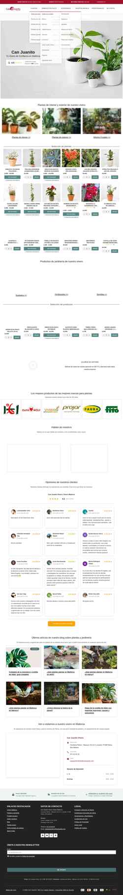 Screenshot canjuanito.com