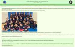 Screenshot www.lukassciencefair.org