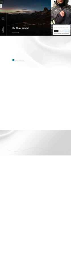 Screenshot chamatexgroup.com