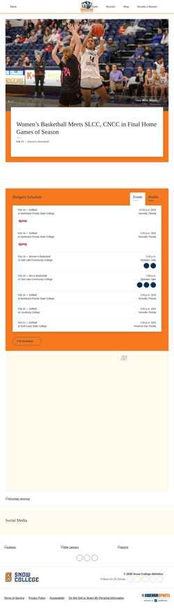 Screenshot snowbadgers.com