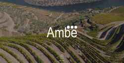 Screenshot ambe-group.com