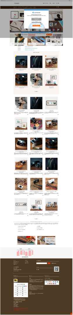 Screenshot camepstore.com