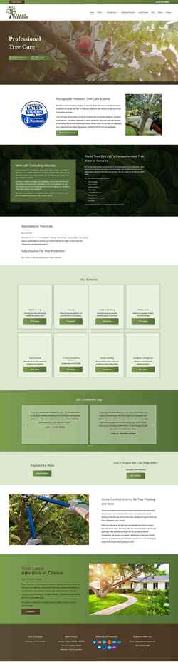 Screenshot texastreeguy.com