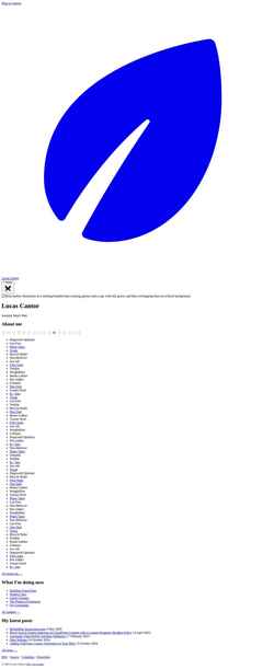 Screenshot lucascantor.com