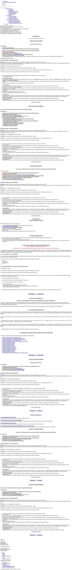 Screenshot www.academiapce.com