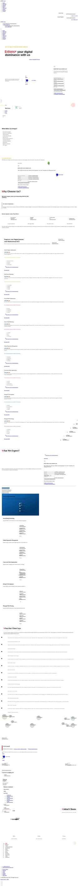 Screenshot multinationalseo.com