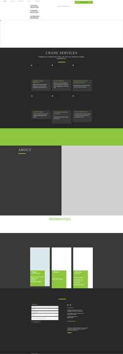 Screenshot www.verticalcrane.ca