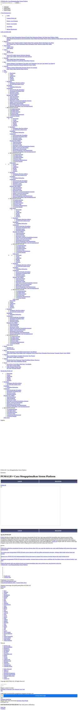 Screenshot puma128-wok.pages.dev