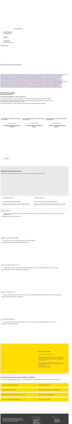 Screenshot www.resulting-it.com