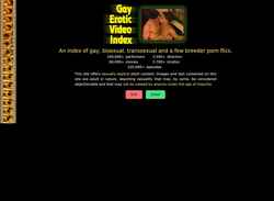 Screenshot gayeroticvideoindex.com