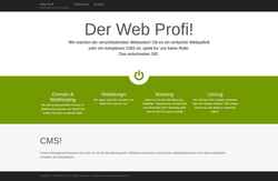 Screenshot web-profi.org