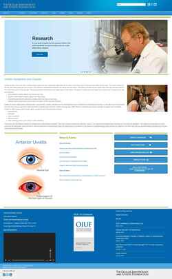 Screenshot uveitis.org