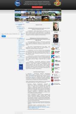 Screenshot zelguis.ru