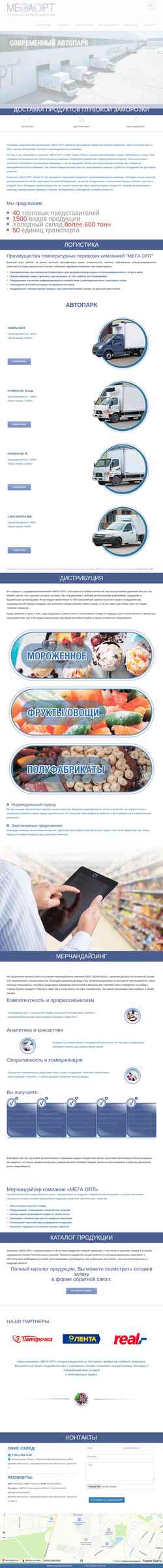 Skärmdump megaopt.spb.ru