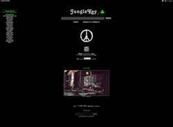 Képernyőkép junglekey.com