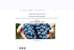 Screenshot wengergrapes.com