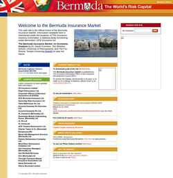 Snímek obrazovky bermuda-insurance.org