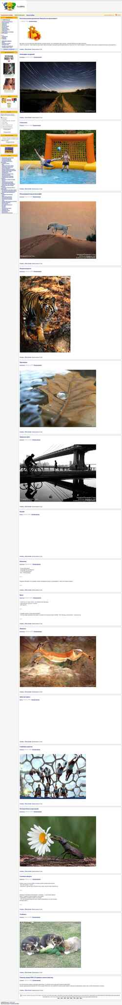 Screenshot tusoffka.net
