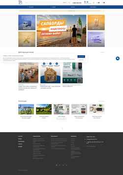Screenshot revansh.info