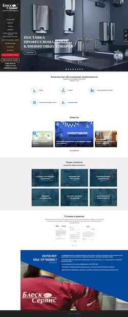 Screenshot bleskservis.ru