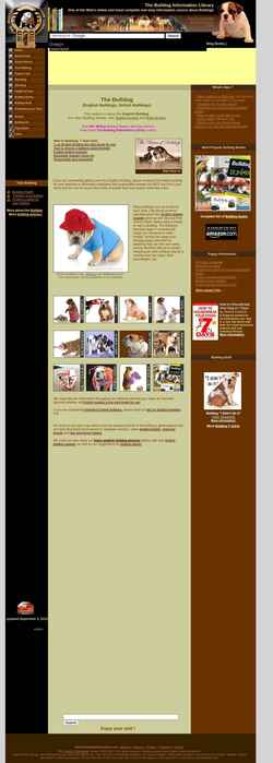 Snímek obrazovky bulldoginformation.com