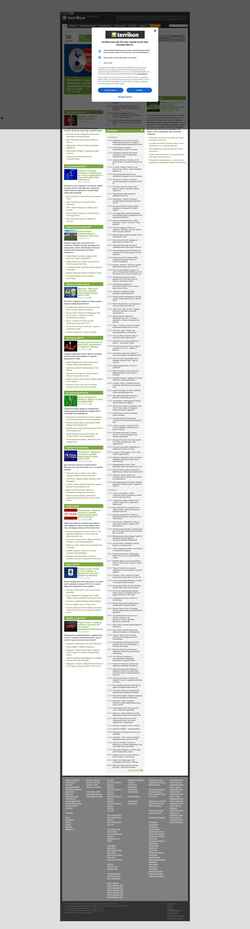 Captura de pantalla terrikon.com