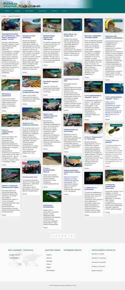 Zrzut ekranu cichlids.ru