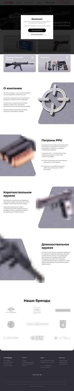 Screenshot auroraarms.ru