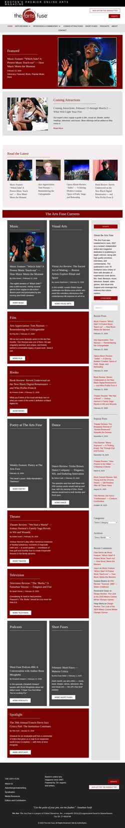 Ekran görüntüsü artsfuse.org