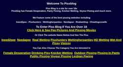 スクリーンショット pissblog.com